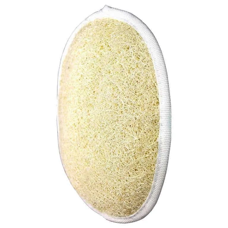 Luffaschwamm Luffaschwamm