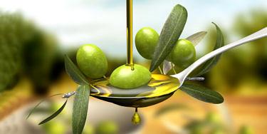 zeytin-yagi-olive-oil-5-375x188
