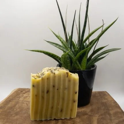 Wie Macht Man Lavendelseife? 7 Lavendelseife