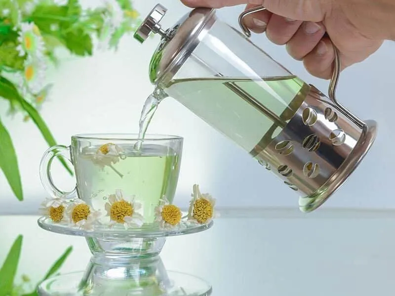 20 Verschiedene Kräutertees Zur Heilung Von Winterkrankheiten 2 Kamillentee