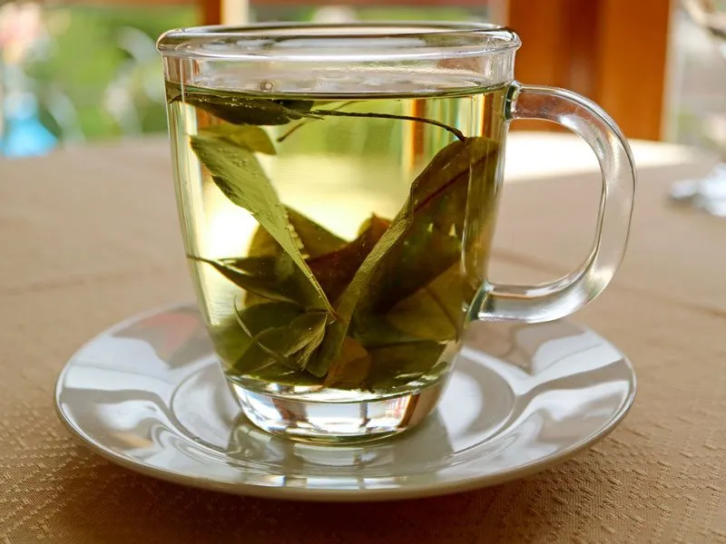 Wie Stellt Man Einen Wirksamen Olivenblättertee Gegen Viren Her? 3 Olivenblättertee