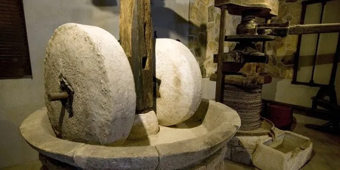 Was Ist Kaltgepresstes Olivenöl? 2 Olivenoel-Kaltgepresst