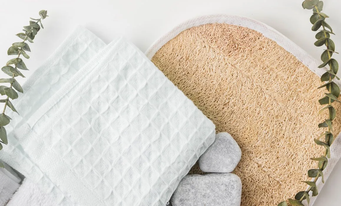 Die Vorteile Von Luffaschwämmen 1 Luffaschwamm-La-Sue