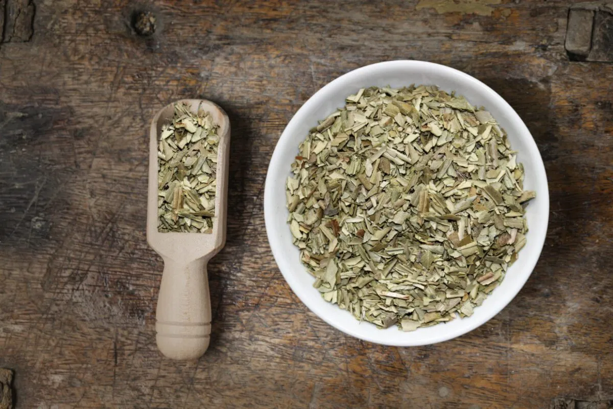 Olivenblättertee Vorteile, Ernährung &Amp; Nebenwirkungen 1 Olivenblättertee Vorteile, Ernährung &Amp; Nebenwirkungen